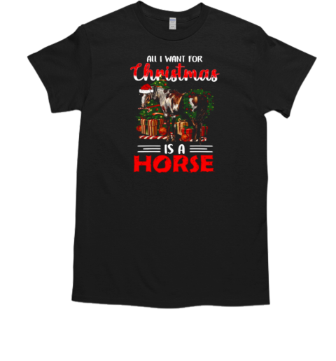 All I Want For Christmas Is A Horse Santa Hat T-Shirt