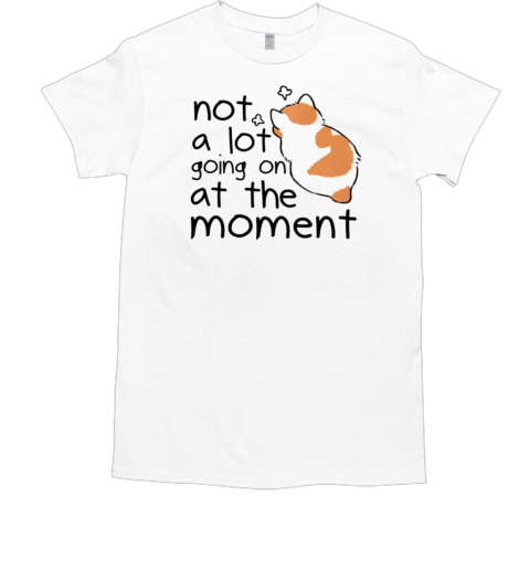 Not A Lot Going On At The Moment T-Shirt