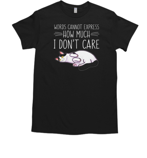 Words Cannot Express How Much I Don't Care T-Shirt