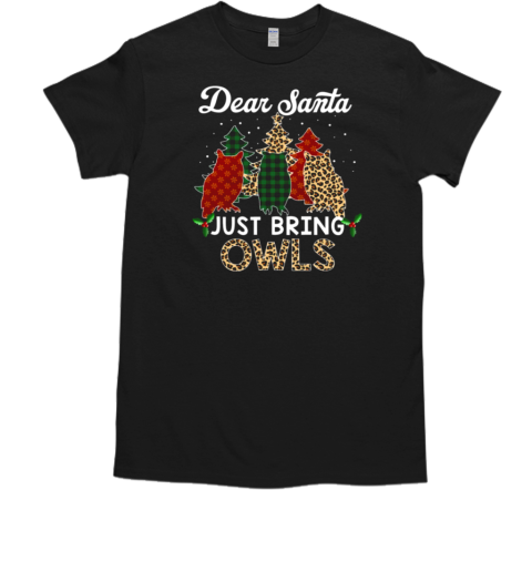 Dear Santa Just Bring Owls  Funny Christmas Owl T-Shirt