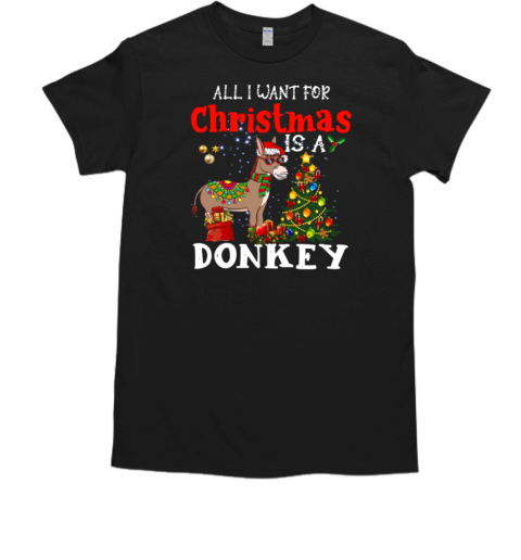 Donkey Christmas All I Want For Christmas Is A Donkey T-Shirt