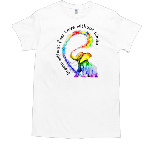 Dream Without Fear Love Without Limits T-Shirt