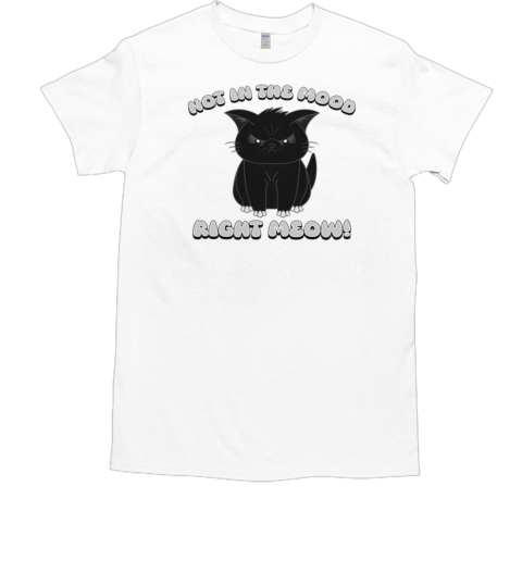 Not In The Mood Right Meow Cat T-Shirt