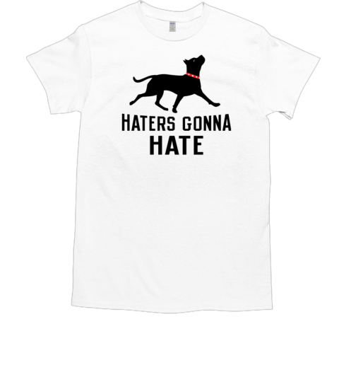 Haters Gonna Hate Pit T-Shirt