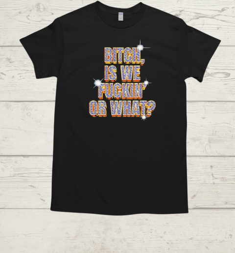 Bitch is we fuckin' or what  Classic Men's T-shirt