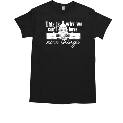 This is why we can't have nice things  Classic Men's T-shirt