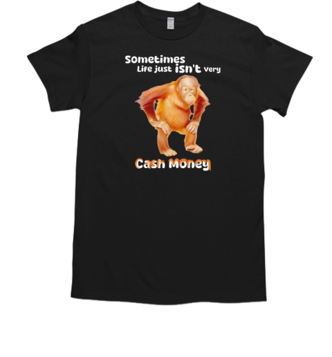 Sometimes life just isn't very cash money T-Shirt