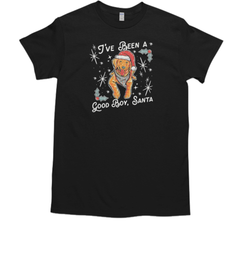 Official I've Been A Good Boy Santa 2024  Classic Men's T-shirt