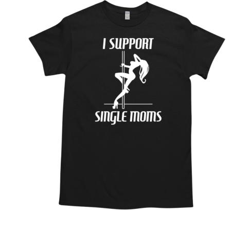 I support single moms funny T-Shirt