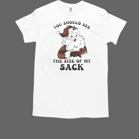 You Should See The Size Of My Sack Santa Christmas T-Shirt