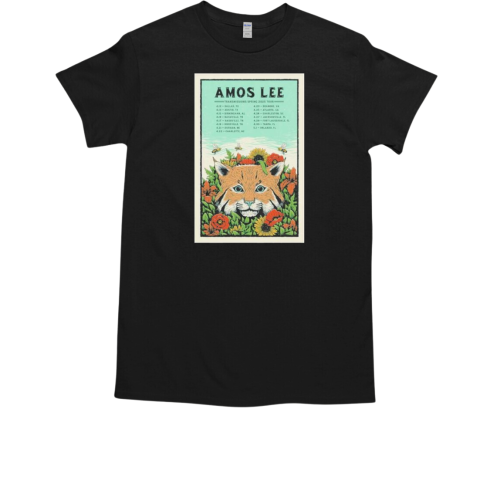 Amos Lee Transmissions Spring Tour 2025 T-Shirt