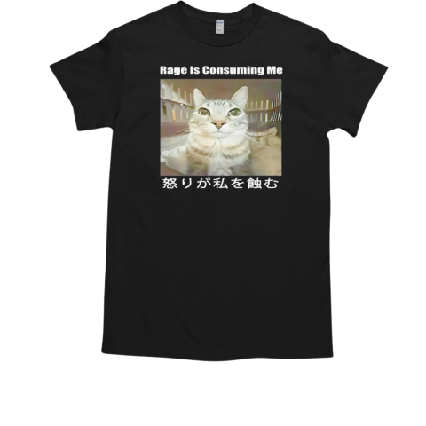 Cat rage is consuming me T-Shirt