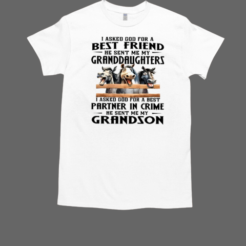 Horses I Asked God For A Best Friend He Sent Me My Granddaughters T-Shirt